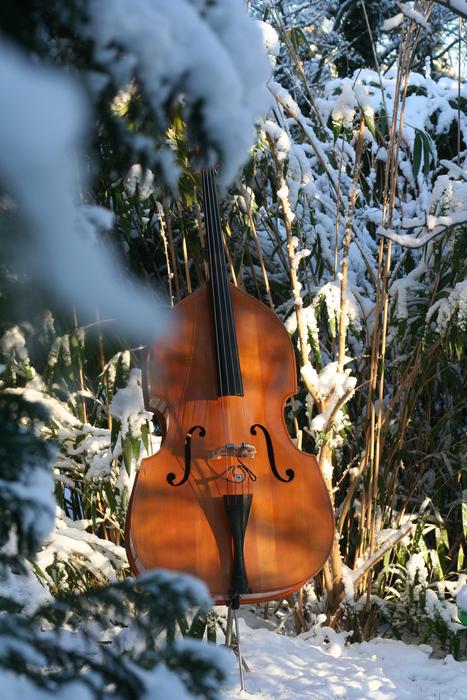 double bass in winter snow