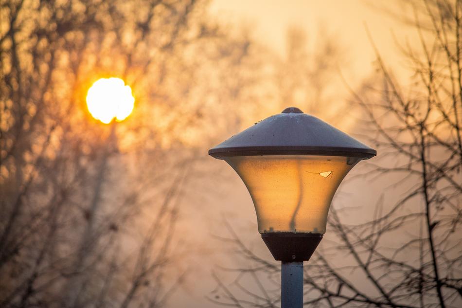 City Sun January