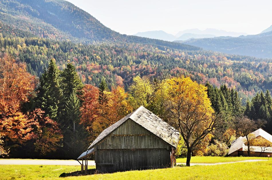 Autumn Mood Golden
