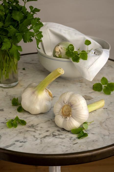 ripe garlic on the table