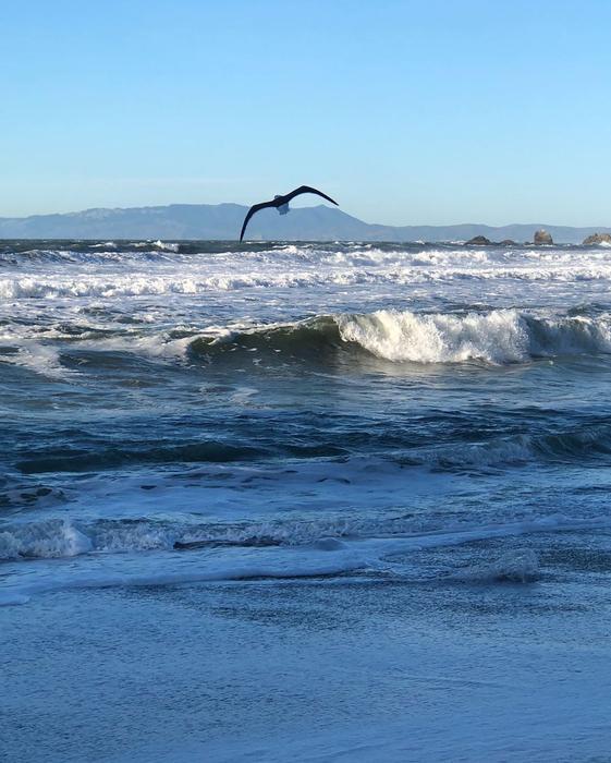 Water Sea Surf