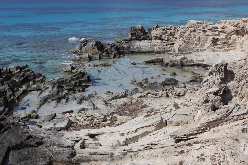 Sea Coast Landscape
