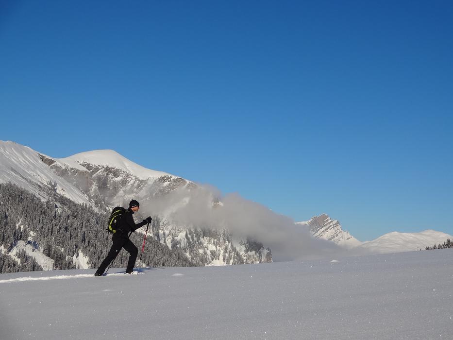 Winter Snow Shoes Trek