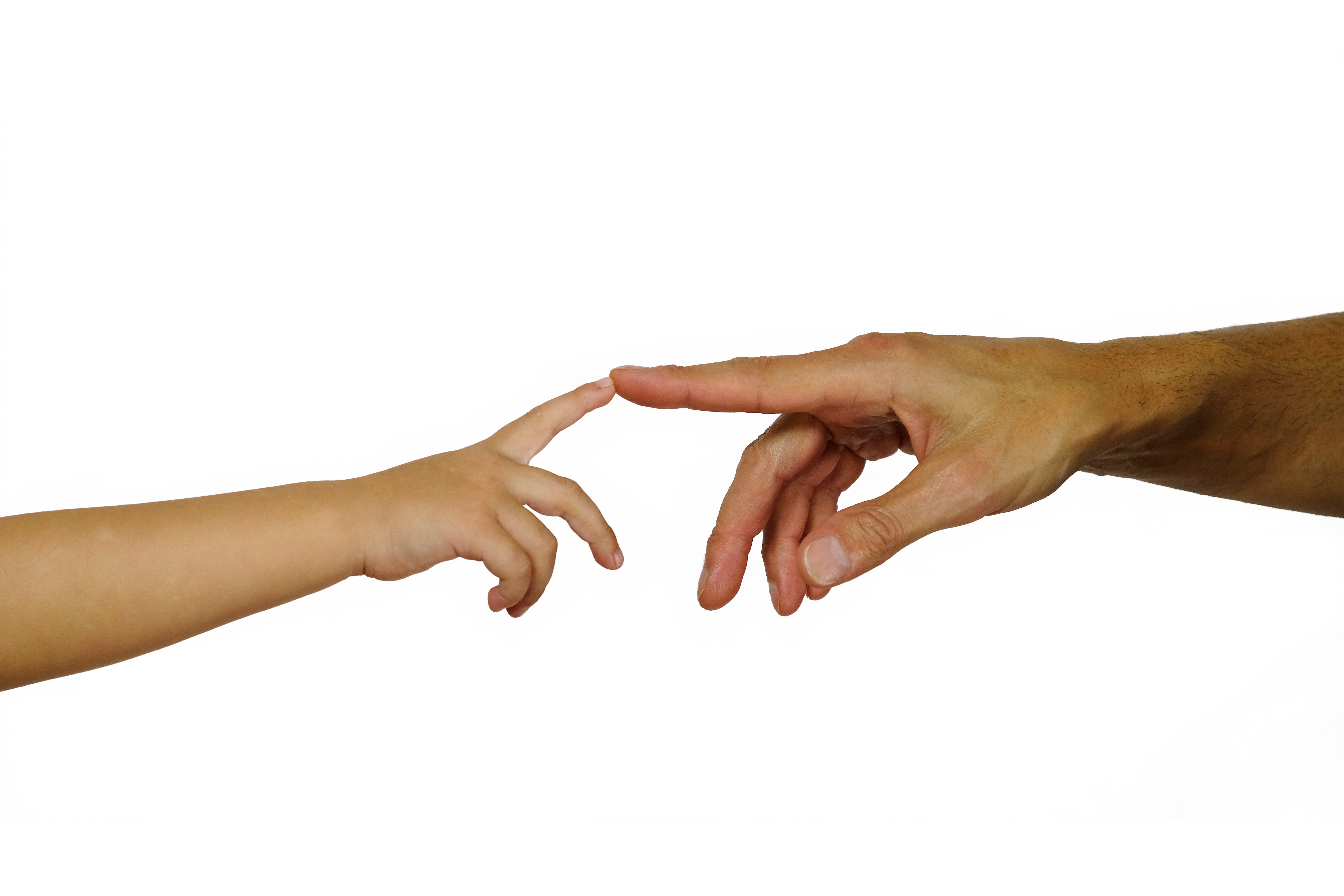 Hands of the child and adult touching each other, at white background ...