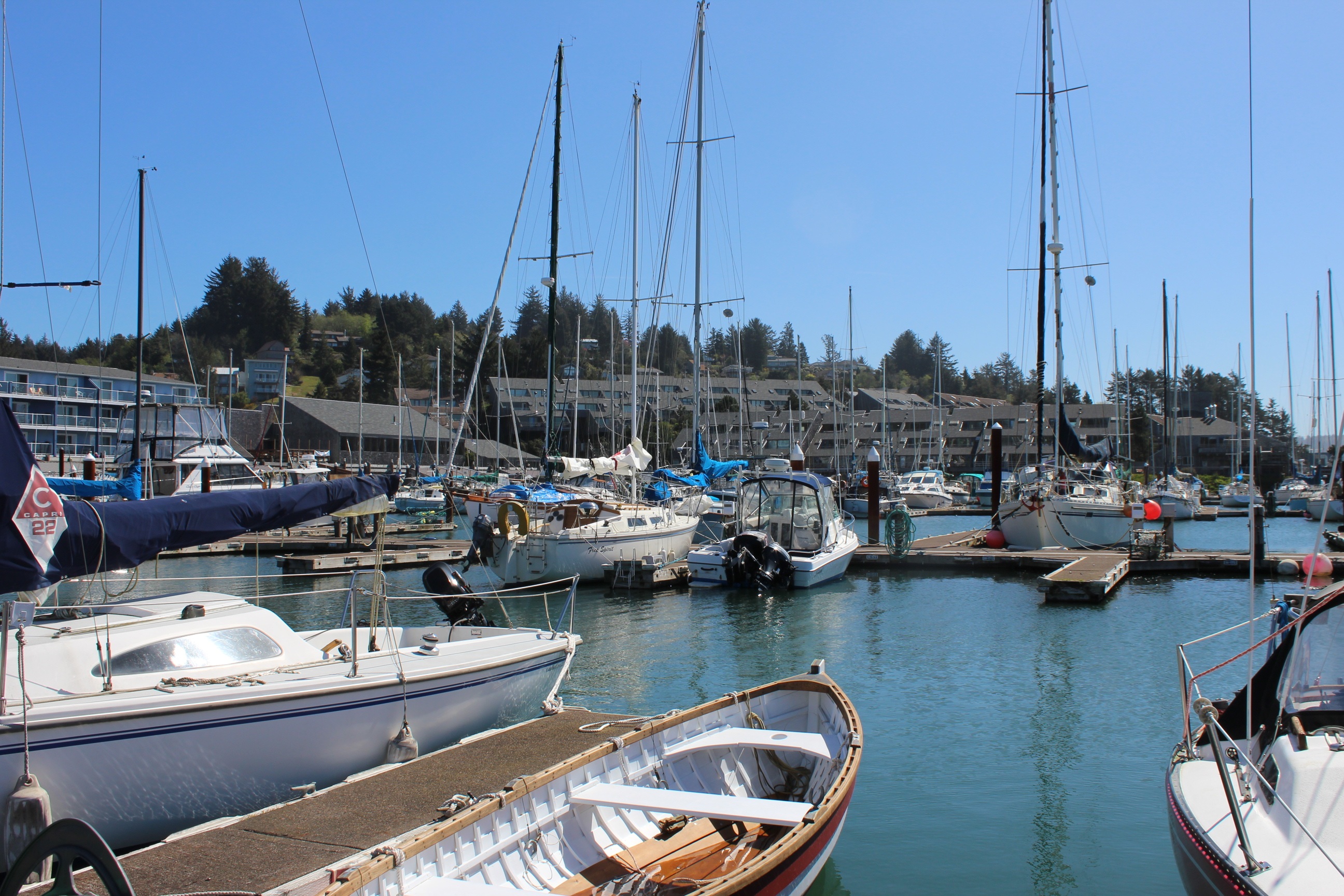 Craigslist Newport Oregon - as0pqxo