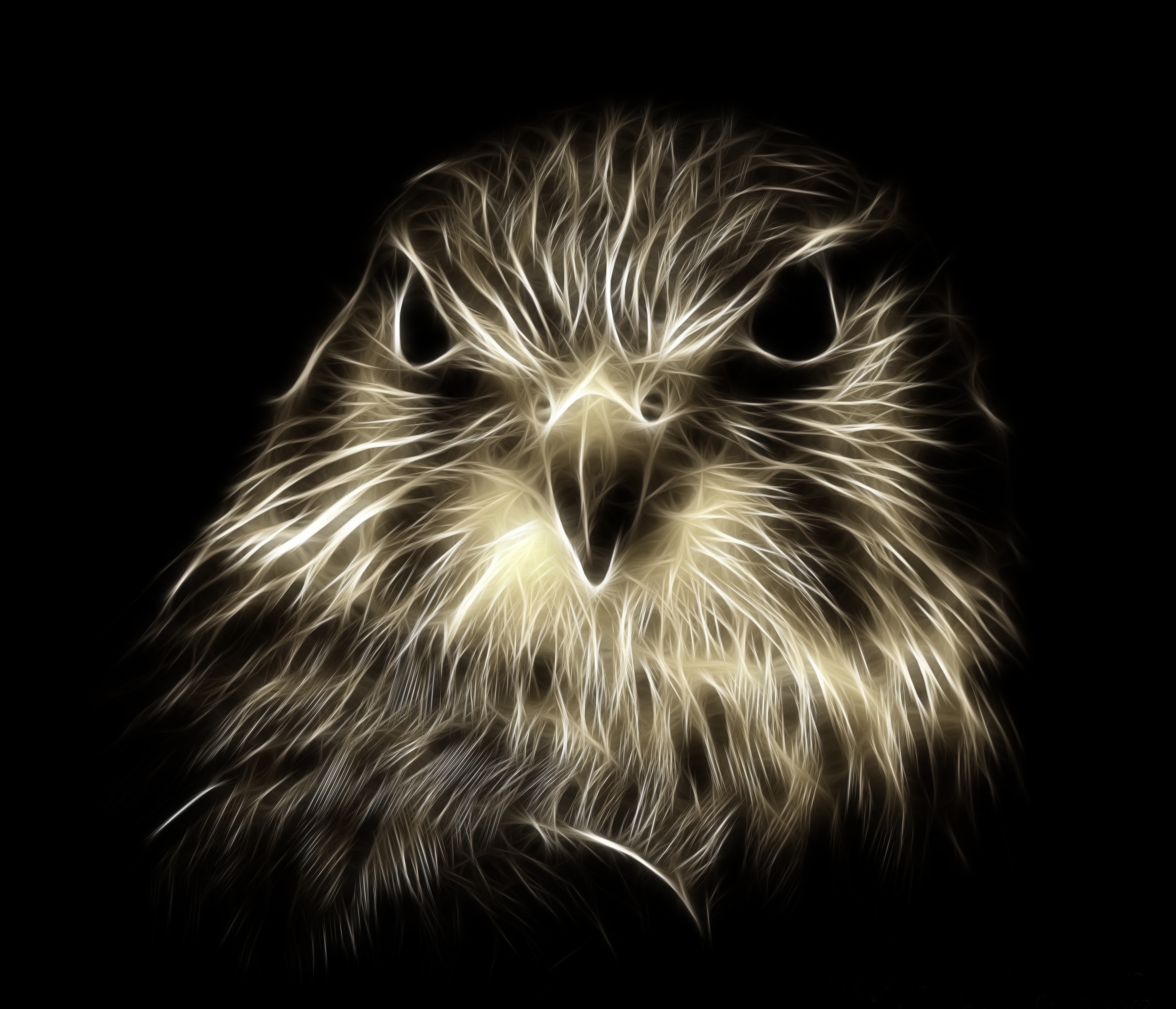 Fractalius abstract animal raptor free image download