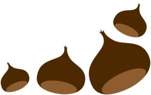chestnut chestnuts autumn curly