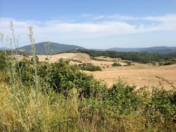 Landscape Cultivated Agriculture