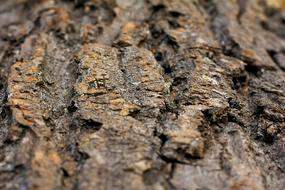 Rough Nature Textile