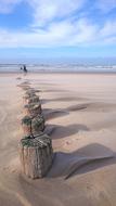 Sand Beach Coast