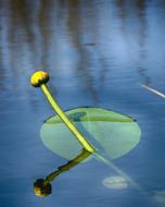 Body Of Water Nature No Person