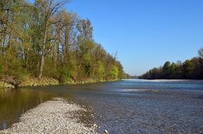Tree Nature Landscape