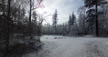 Winter Landscape Wintry