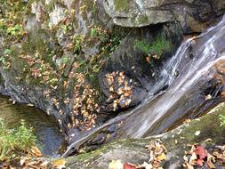Waterfall Autumn Landscape Rock