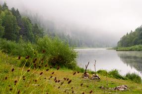 Nature Water Landscape