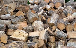 Firewood Tree Log Resource