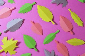 Leaves Autumn Nature