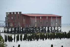 Water Outdoors Pier