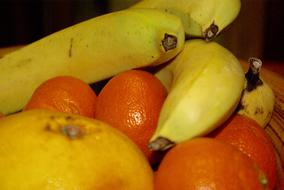 Bananas and oranges ripe and sweet