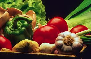 delicious raw vegetables