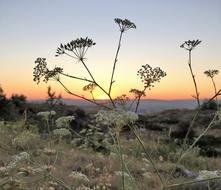Sunset Coucher De