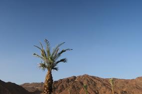 Uhut Mountain Medina view