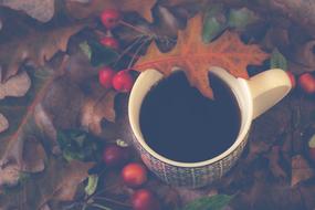 Still Life Tea Autumn