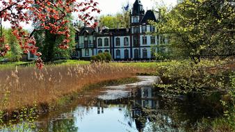 Tree Nature Body Of Water