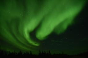 Aurora Natural Leaf