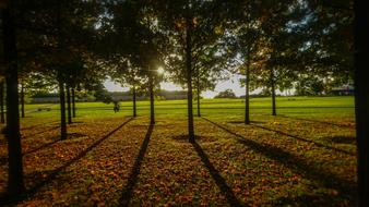 Nature Autumn Colours