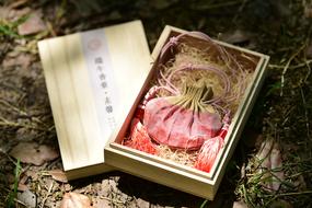 Wood macro blur garden