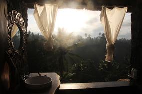 Bathroom Outlook Jungle