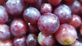 sweet fresh berries