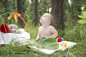 Photoshoot Forest Wild Wood