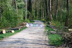 Wood Nature Landscape
