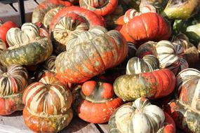 large harvest of ripe pumpkins