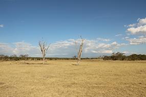 Nature Landscape Of dry grass field