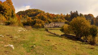 Excursion Trees Autumn