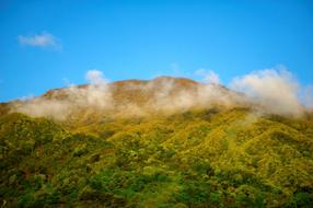 Nature Greenery Fog And Clouds