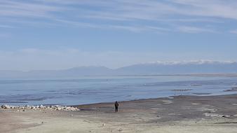 Waters Nature Landscape