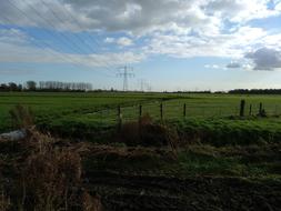 power lines along a green field in Amsterdam, Holland