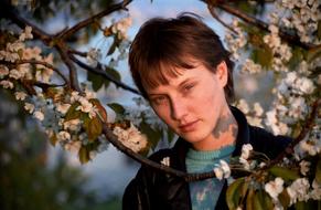 Tree Nature Outdoors