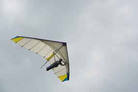 Delta-Plane Hover Glider Free