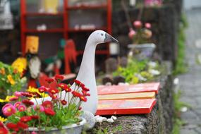 Nature Flowers Summer