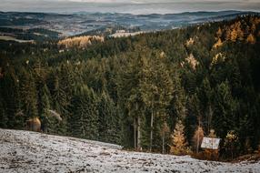 Winter Landscape Snow