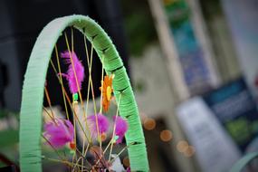 Flower Outdoors Flora