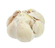 Garlic Transparent Background