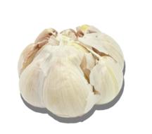 Garlic Transparent Background