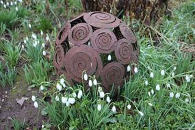 Garden Flower Nature