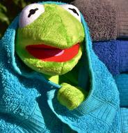kermit the frog in a blue towel